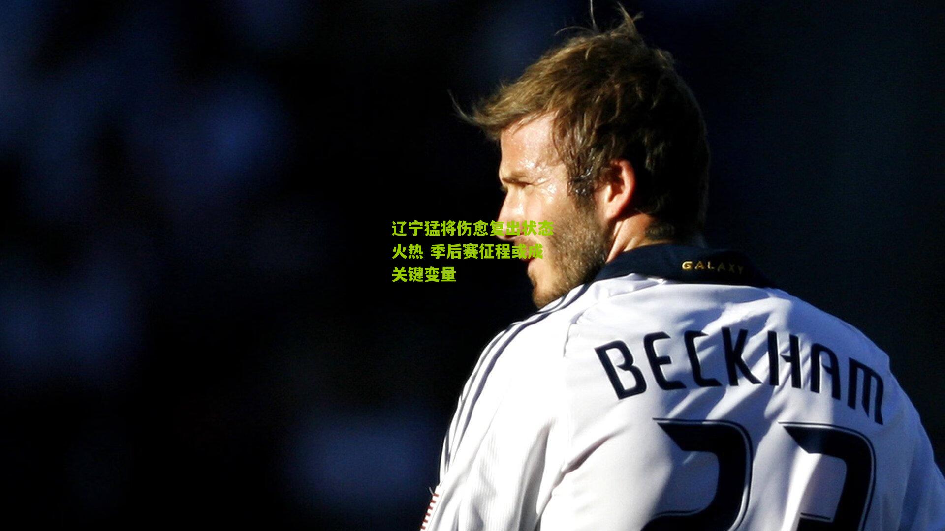 辽宁猛将伤愈复出状态火热 季后赛征程或成关键变量